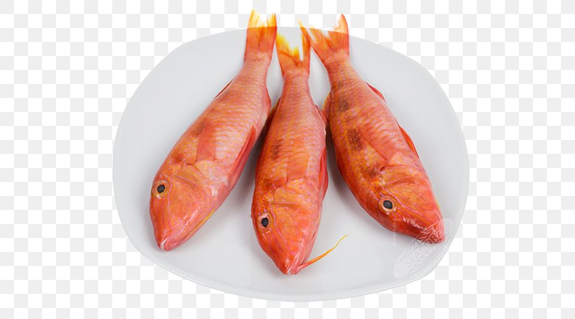 Fish Red Mullet Seafood Upeneichthys, PNG, 575x456px, Fish, Animal Source Foods, Brazil, Carrot, Mullet Download Free