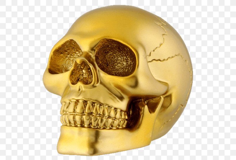 Skull Gold Human Skeleton Amazon.com, PNG, 555x555px, Skull, Amazoncom, Bone, Brass, Collectable Download Free