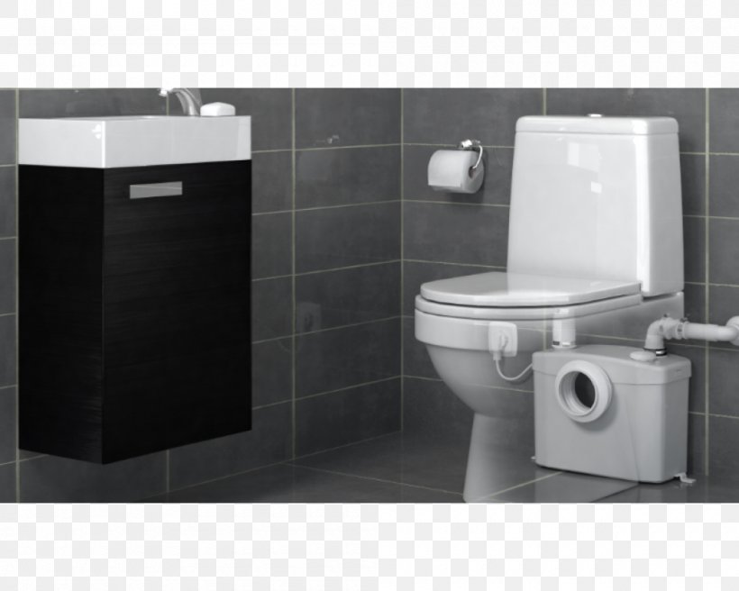 Toilet Plumbing Fixtures Bathroom Sink Pump, PNG, 1000x800px, Toilet, Bathroom, Bathroom Accessory, Bathroom Cabinet, Bathroom Sink Download Free