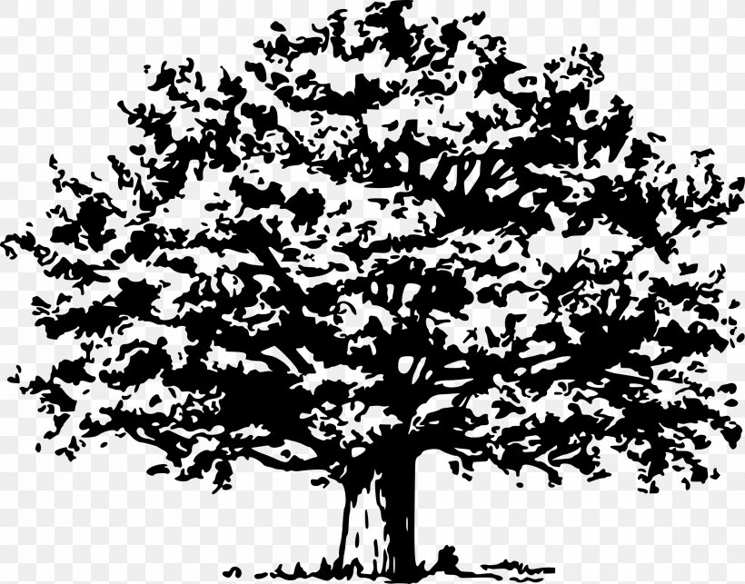 Tree Clip Art, PNG, 2400x1882px, Tree, Black And White, Branch, Drawing, Flower Download Free