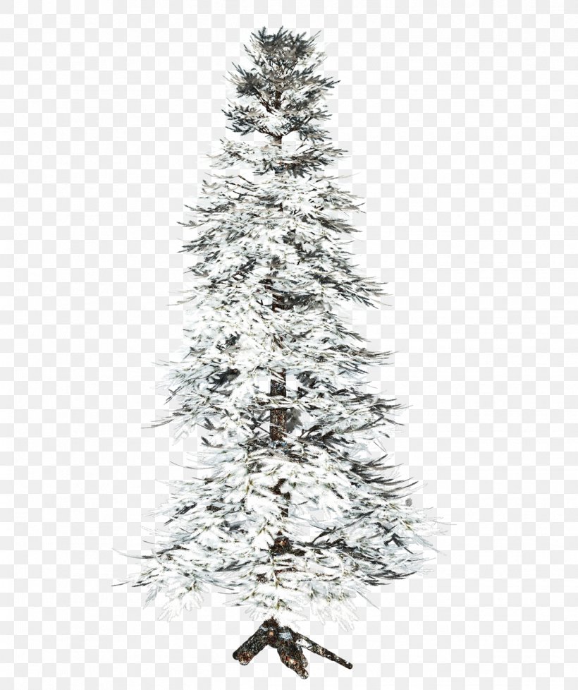 Tree Spruce Clip Art, PNG, 1341x1600px, Tree, Branch, Christmas Decoration, Christmas Ornament, Christmas Tree Download Free