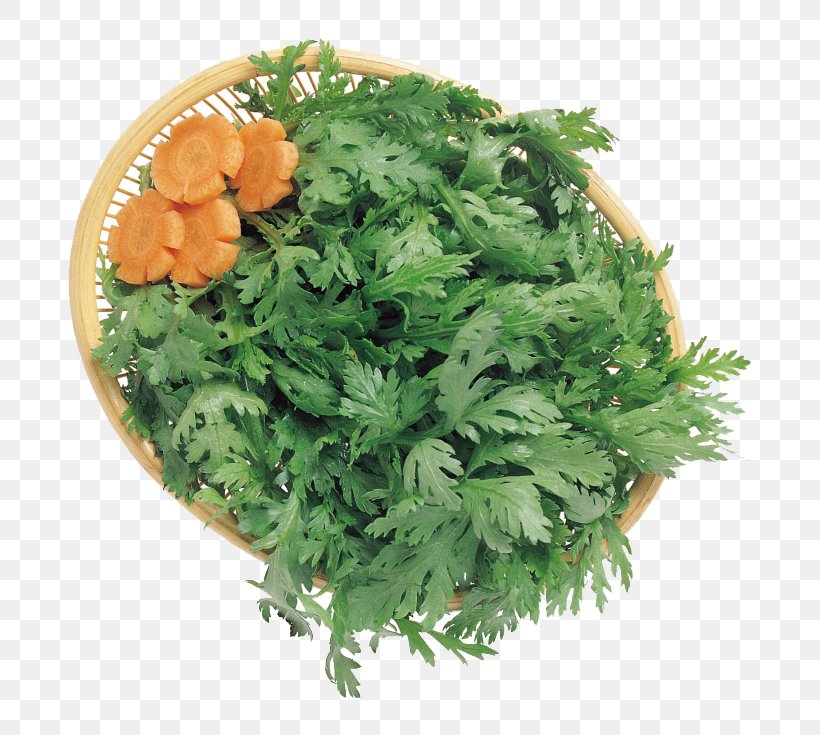 Coriander Parsley Carrot Clip Art, PNG, 760x735px, Coriander, Carrot, Endive, Food, Herb Download Free