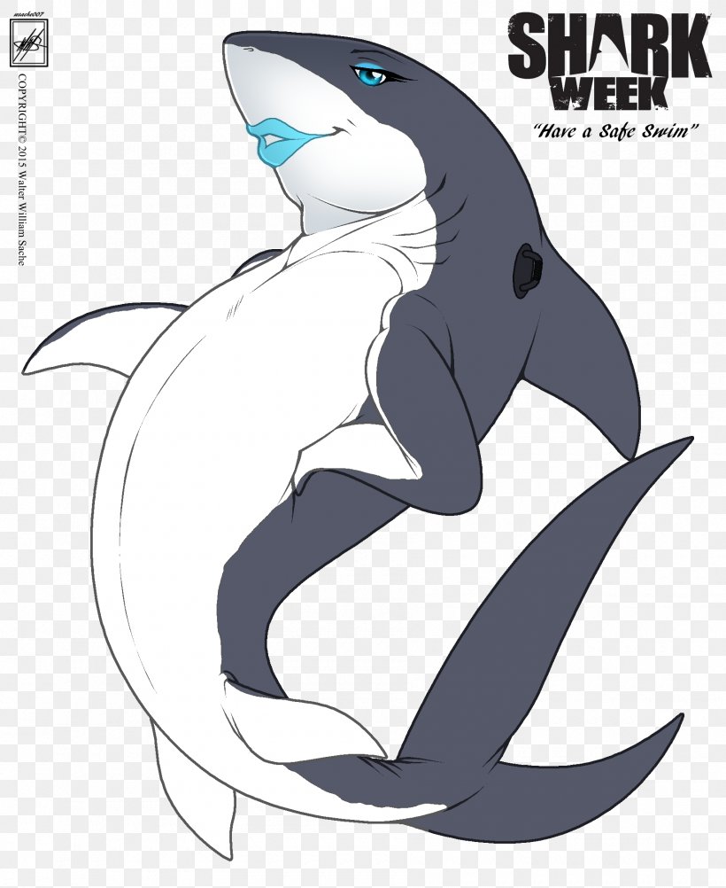 Whale Shark Inflatable Porpoise Great White Shark, PNG, 1800x2200px, Shark, Cartilaginous Fish, Cartoon, Cetacea, Chondrichthyes Download Free