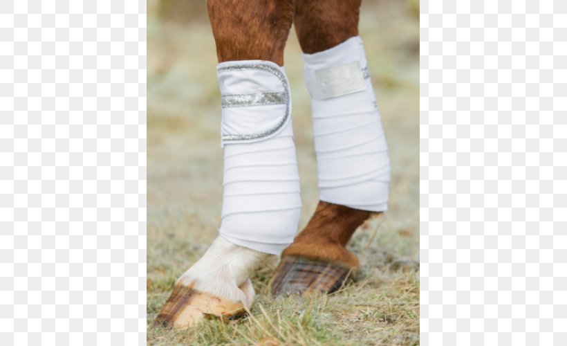 Calf Horse Bandage Ankle Knee, PNG, 500x500px, Watercolor, Cartoon, Flower, Frame, Heart Download Free