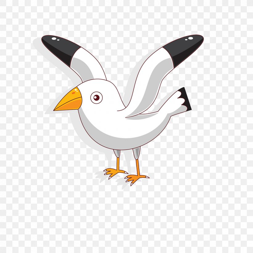 Cartoon Bird, PNG, 1200x1200px, Bird, Art, Beak, Cartoon, Chicken Download  Free
