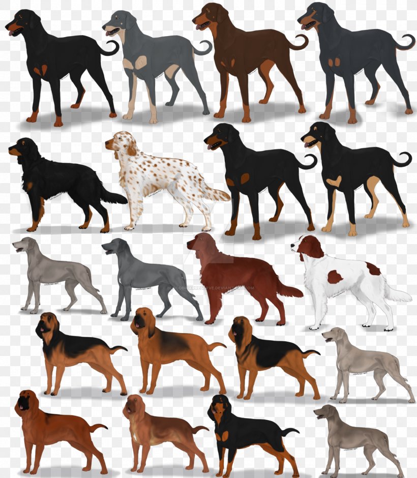 Dog Breed, PNG, 1280x1468px, Dog Breed, Breed, Carnivoran, Dog, Dog Breed Group Download Free