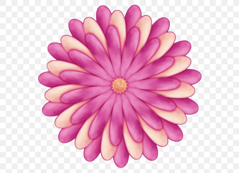 Graphic Design Icon, PNG, 595x593px, Software Design Pattern, Aster, Daisy Family, Flower, Gerbera Download Free