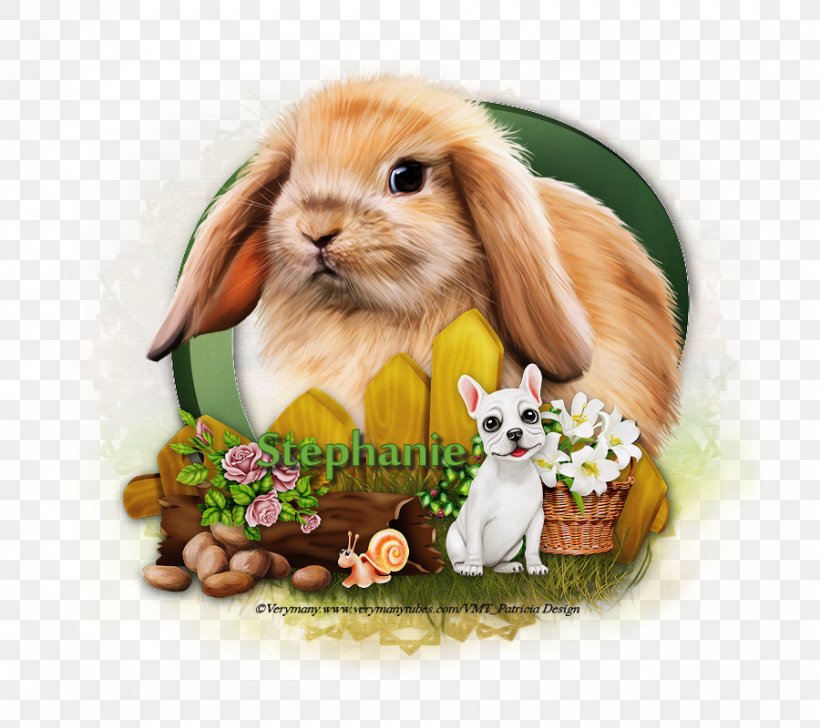 Hare Domestic Rabbit Whiskers Animal, PNG, 900x800px, Hare, Animal, Domestic Rabbit, Rabbit, Rabits And Hares Download Free