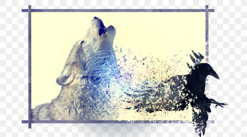 Wolves Hardcover Book Advertising, PNG, 900x500px, Wolves, Advertising, Art, Book, Fauna Download Free