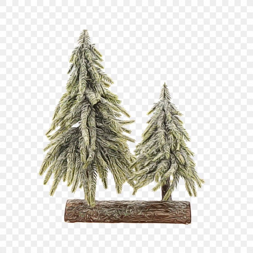 Christmas Tree, PNG, 1000x1000px, Watercolor, American Larch, Christmas Tree, Colorado Spruce, Lodgepole Pine Download Free