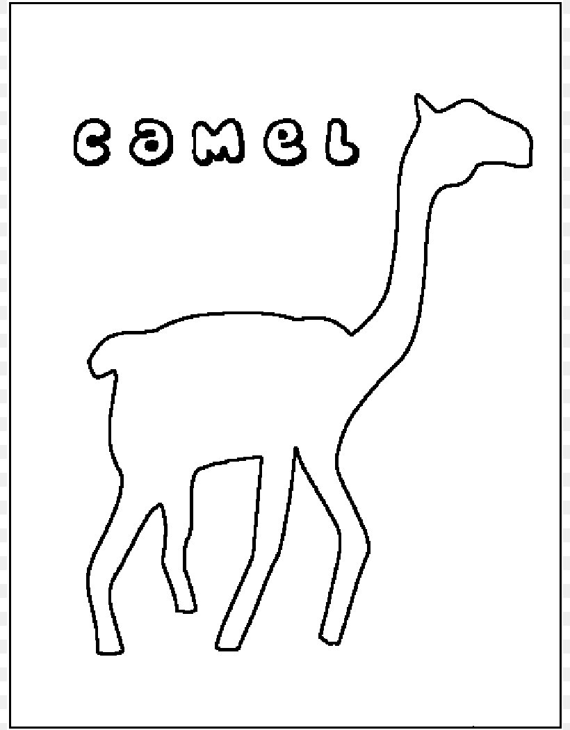 Dromedary Bactrian Camel Giraffe Coloring Book Clip Art, PNG, 800x1050px, Dromedary, Animal, Area, Bactrian Camel, Black And White Download Free