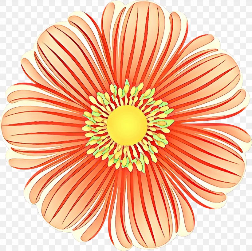 Flowers Background, PNG, 3000x2998px, Transvaal Daisy, Barberton Daisy, Cut Flowers, Daisy Family, Flower Download Free