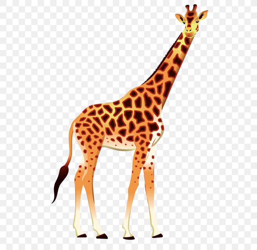 Giraffe Okapi Animal Clip Art, PNG, 529x800px, Giraffe, Animal, Animal Figure, Drawing, Elephant Download Free