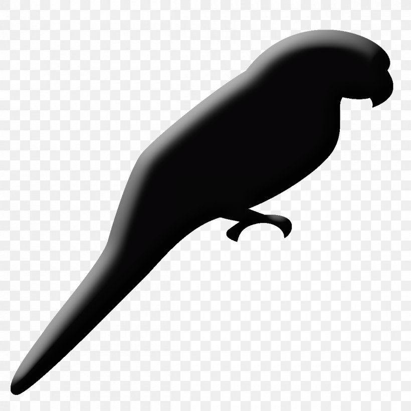 Sea Lion Clip Art Fauna Beak, PNG, 1200x1200px, Sea Lion, Beak, Bird, Black, Black And White Download Free