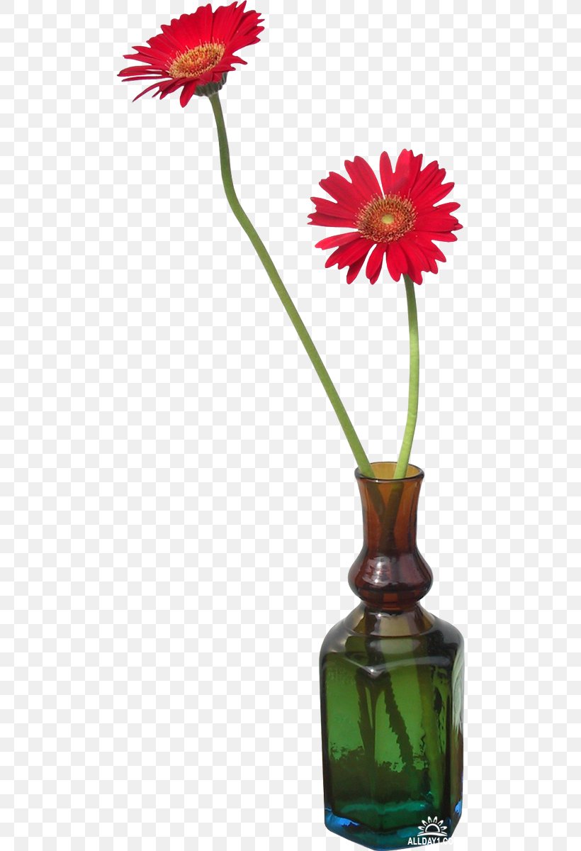 Transvaal Daisy Vase Flower, PNG, 493x1200px, Transvaal Daisy, Cut Flowers, Daisy Family, Dwg, Flora Download Free