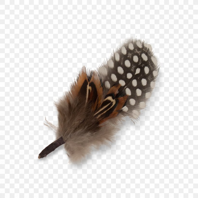Feather Goorin Bros. Hat Hair Brown, PNG, 1000x1000px, Feather, Black, Brown, Color, Fur Download Free