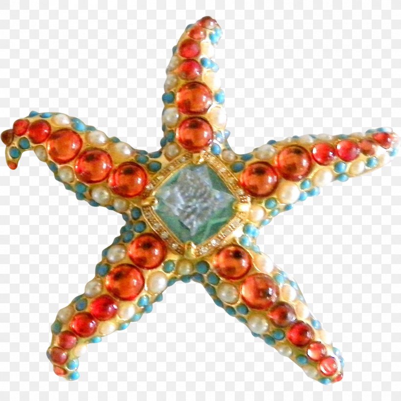 Jewellery Bead Starfish Invertebrate Jewelry Design, PNG, 1775x1775px, Jewellery, Bead, Invertebrate, Jewelry Design, Jewelry Making Download Free