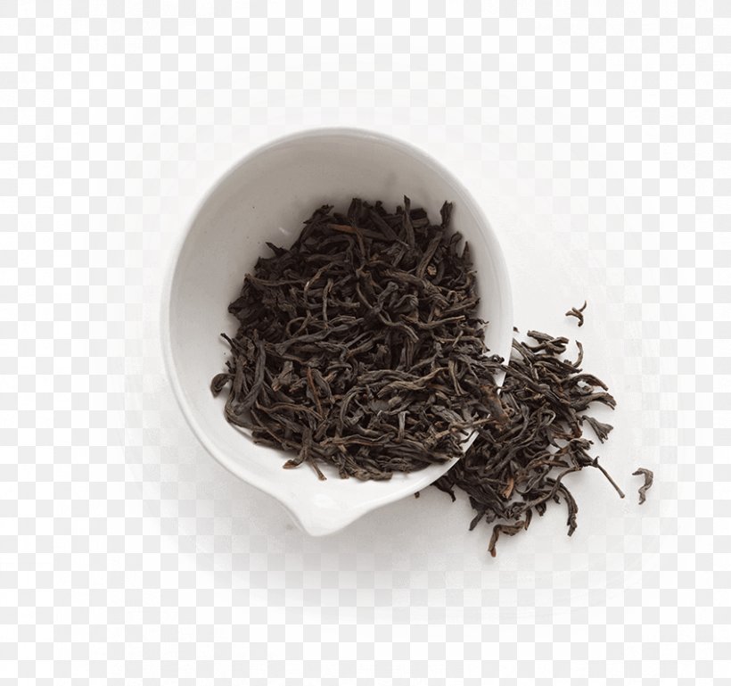 Kombucha Nilgiri Tea Dianhong Oolong, PNG, 849x797px, Kombucha, Assam Tea, Bai Mudan, Bancha, Biluochun Download Free