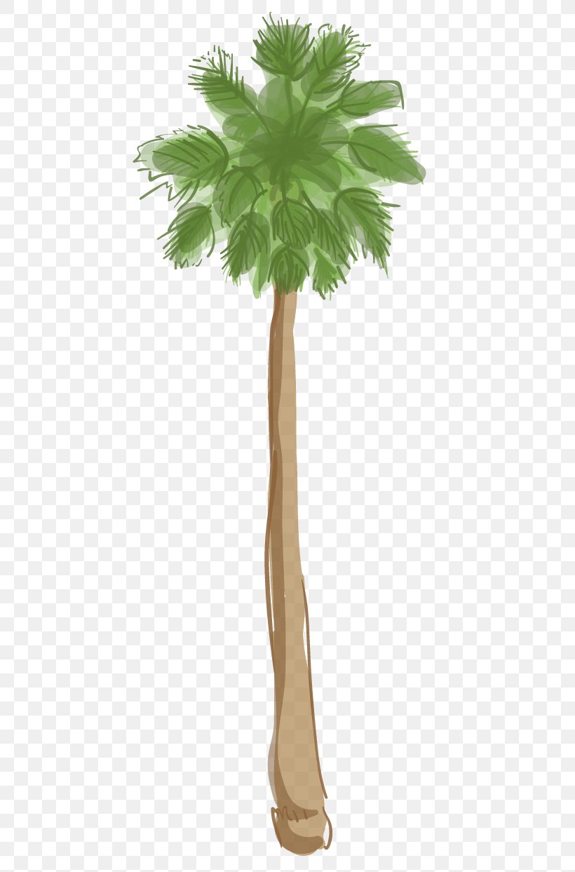 Asian Palmyra Palm Arecaceae Beverly Hills California Palm Tree, PNG, 455x1243px, Asian Palmyra Palm, Arecaceae, Arecales, Beverly Hills, Borassus Download Free