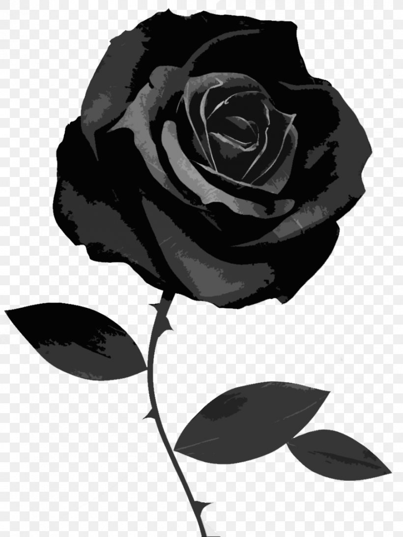 Black Rose Desktop Wallpaper Clip Art, PNG, 901x1200px, Black Rose, Black, Black And White, Black Baccara, Display Resolution Download Free