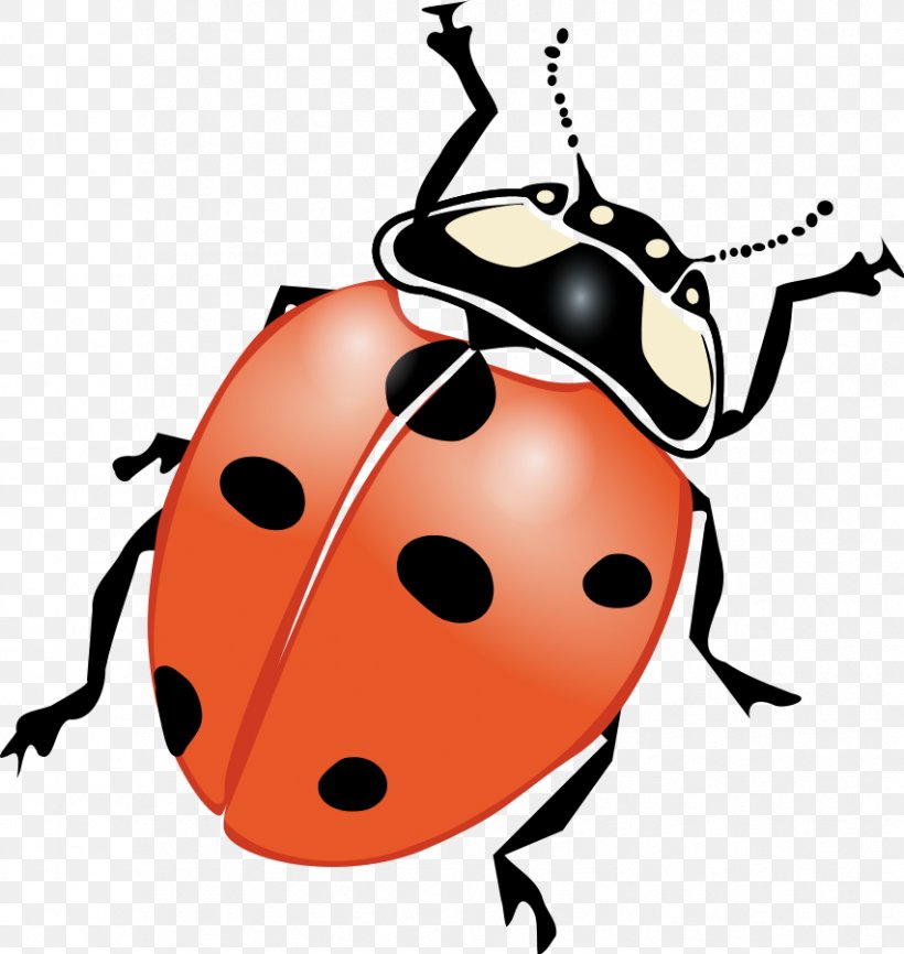 Ladybird Black And White Clip Art, PNG, 852x900px, Ladybird, Artwork, Beetle, Black, Black And White Download Free