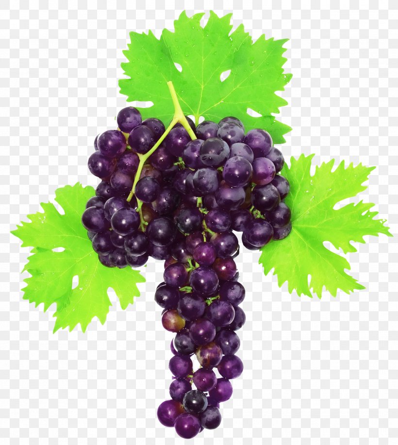 Muscat Grape White Photography, PNG, 1448x1616px, Muscat, Common Grape Vine, Flowering Plant, Food, Fruit Download Free