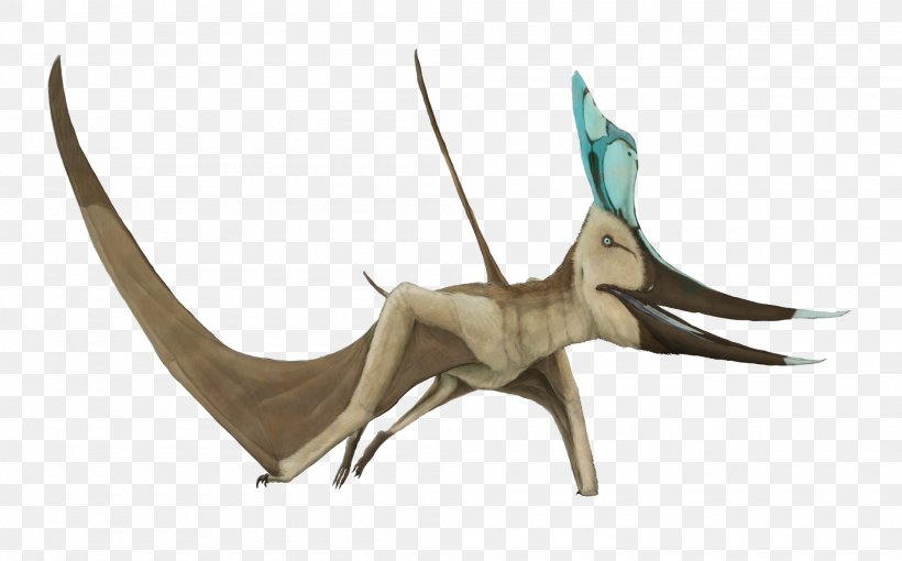 Pteranodon Late Cretaceous Pterosaurs Geosternbergia Dimorphodon, PNG, 2000x1245px, Pteranodon, Antler, Cretaceous, Dimorphodon, Dinosaur Download Free