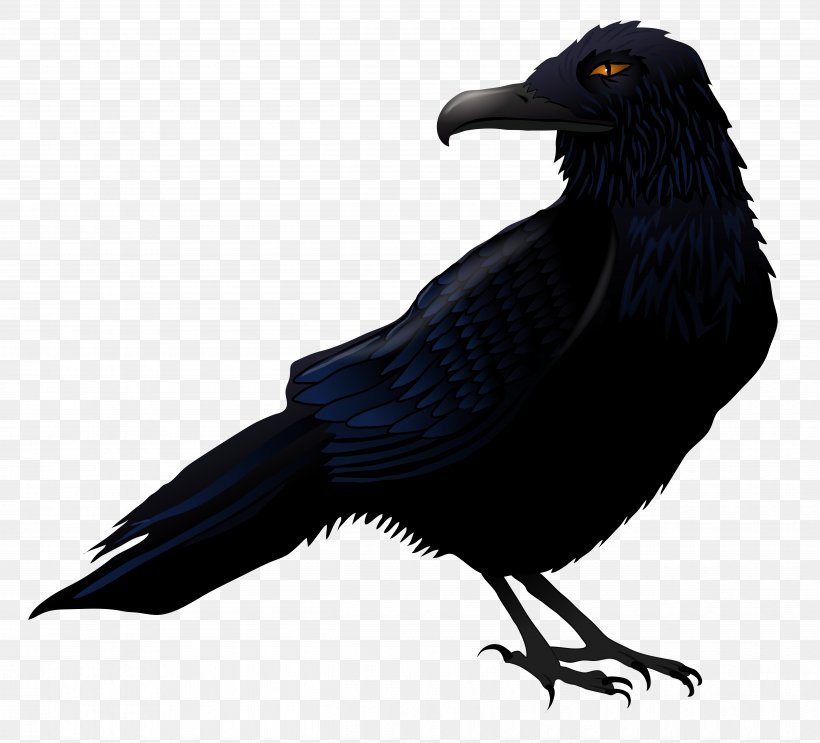 Common Raven Bird Clip Art, PNG, 5061x4586px, Common Raven, American Crow, Beak, Bird, Crow Download Free