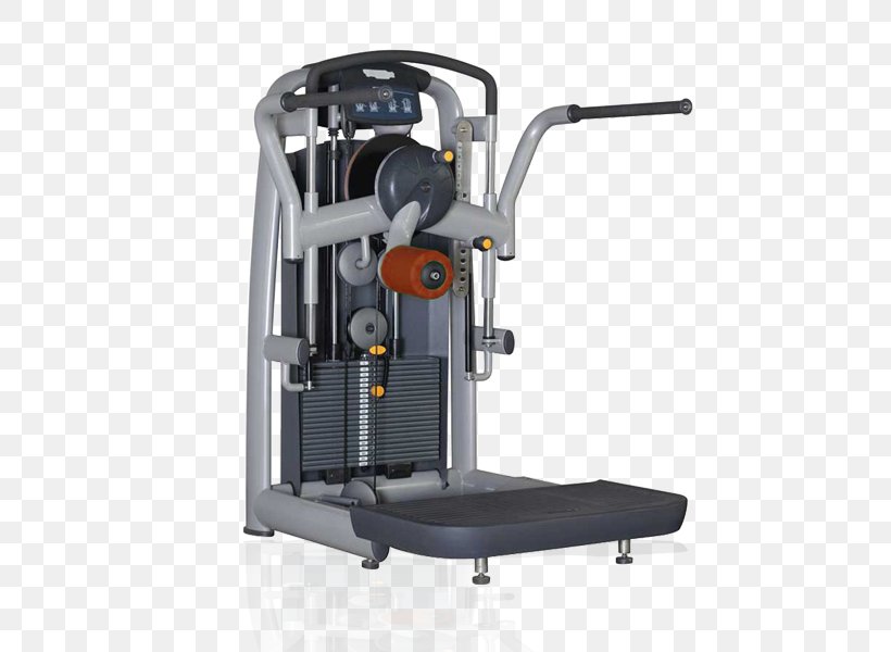 Fitness Centre Smith Machine Exercise Equipment Physical Fitness Crunch, PNG, 600x600px, Fitness Centre, Arm, Bodybuilding, Crunch, Deltoid Muscle Download Free