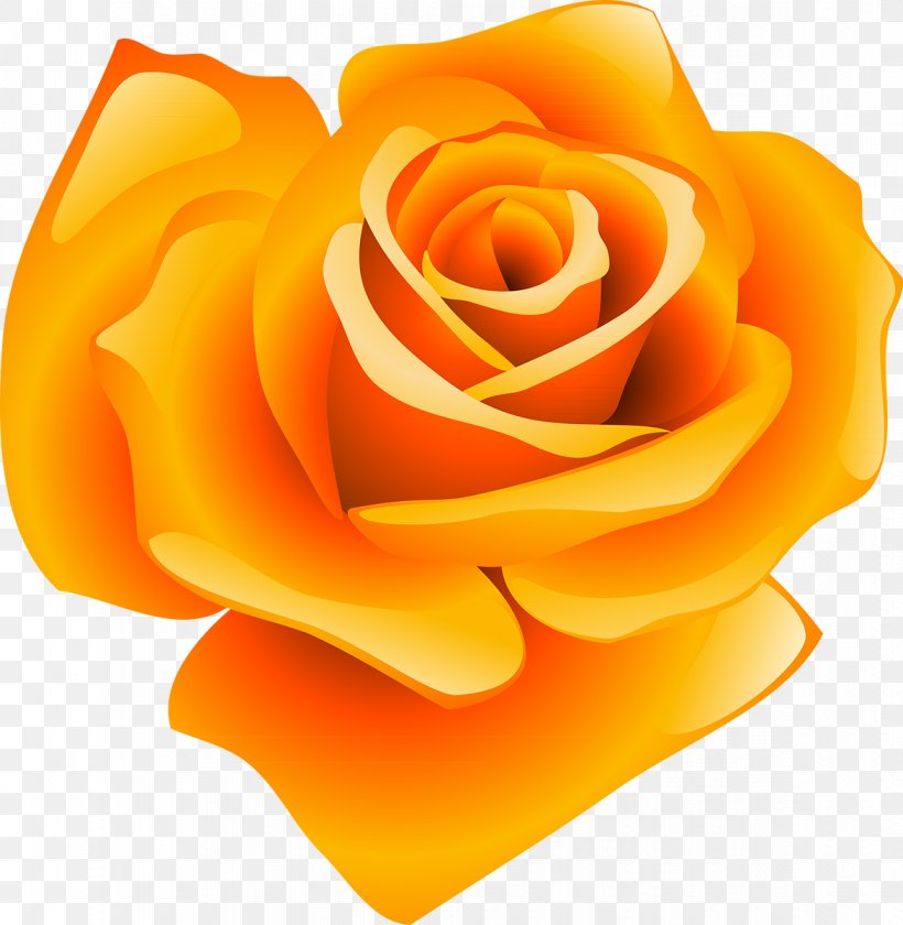 Kaye Swain Roseville Real Estate Agent Garden Roses Davis House, PNG, 1171x1200px, Garden Roses, California, Cut Flowers, Davis, Estate Agent Download Free
