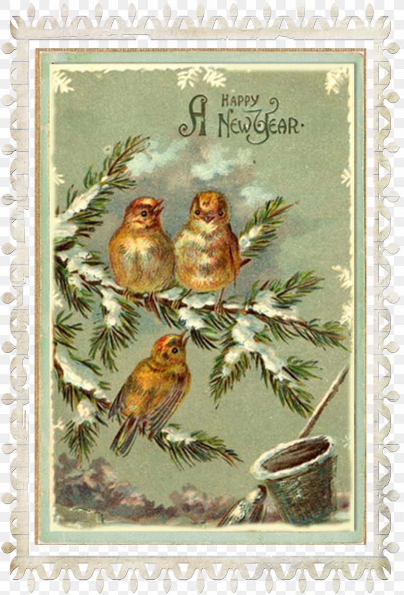 New Year's Day Santa Claus Greeting & Note Cards New Year Card, PNG, 852x1256px, Santa Claus, Beak, Bird, Chinese New Year, Christmas Download Free