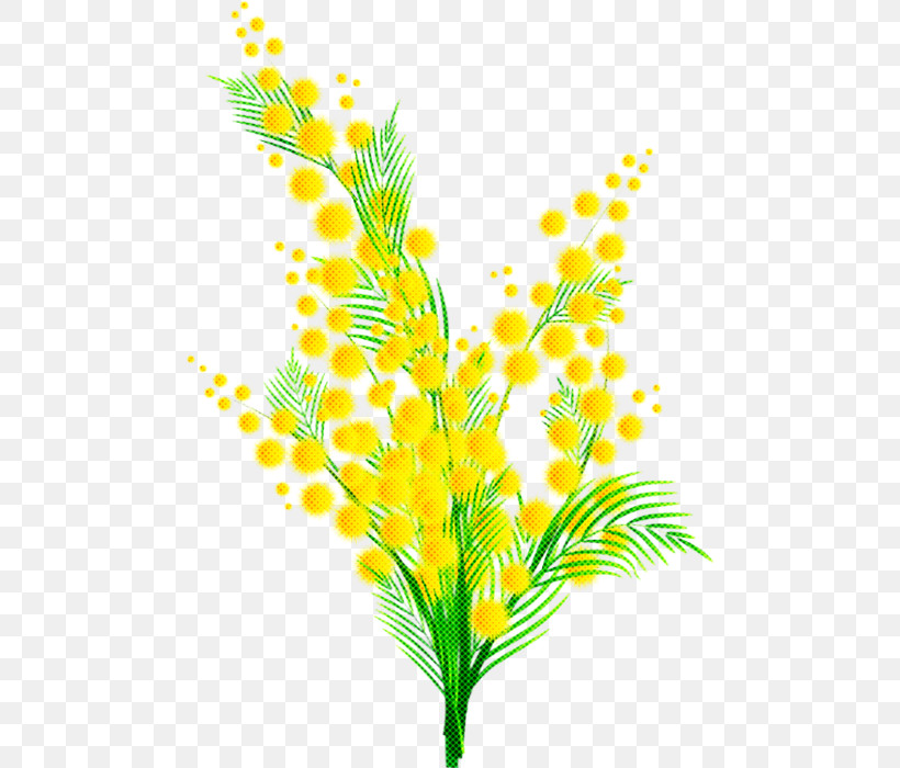 Yellow Leaf Plant Flower Grass, PNG, 480x700px, Yellow, Branch, Cut Flowers, Flower, Grass Download Free