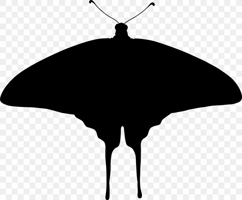 Butterfly Silhouette Insect Clip Art, PNG, 2246x1860px, Butterfly, Beak, Bird, Black And White, Butterflies And Moths Download Free