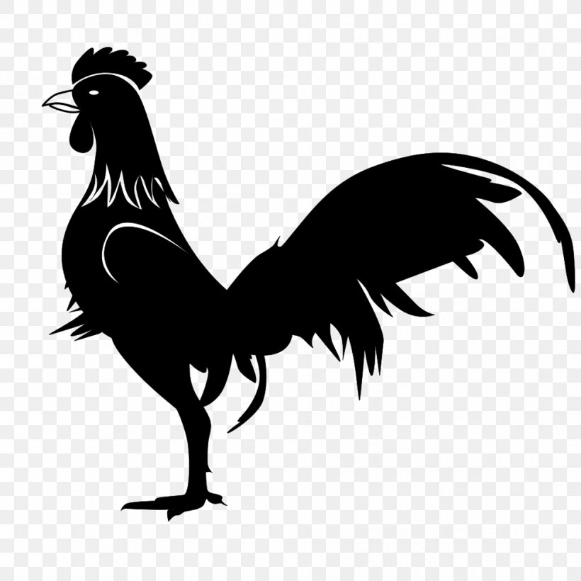 Chicken Gallic Rooster Gamecock, PNG, 990x990px, Chicken, Beak, Bird, Black And White, Farm Download Free