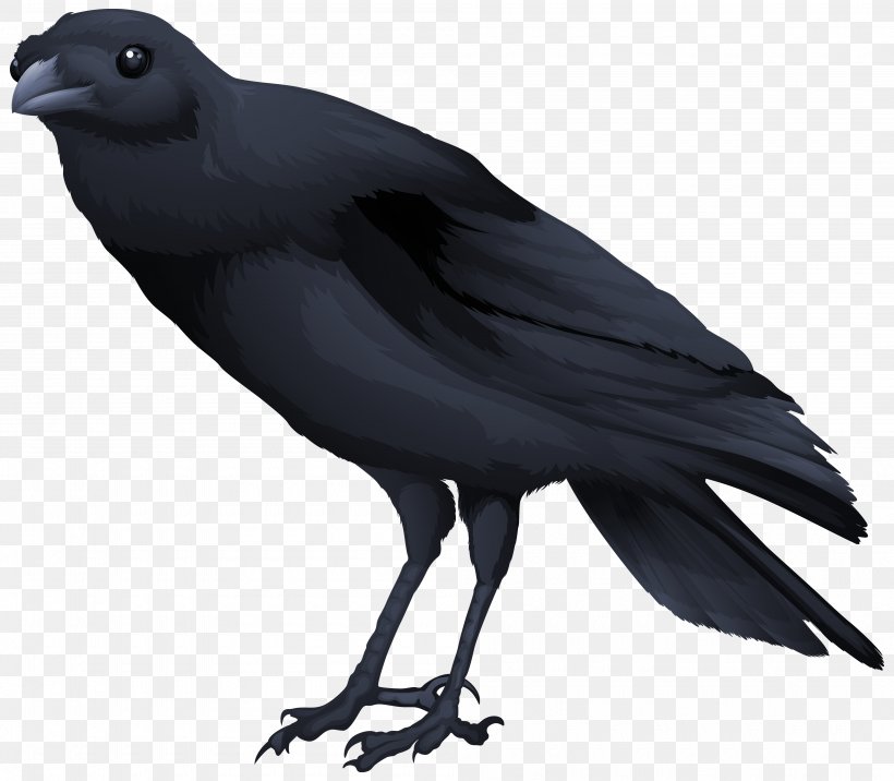 Common Blackbird Clip Art, PNG, 4000x3496px, Bird, American Crow, Beak, Common Blackbird, Crow Download Free