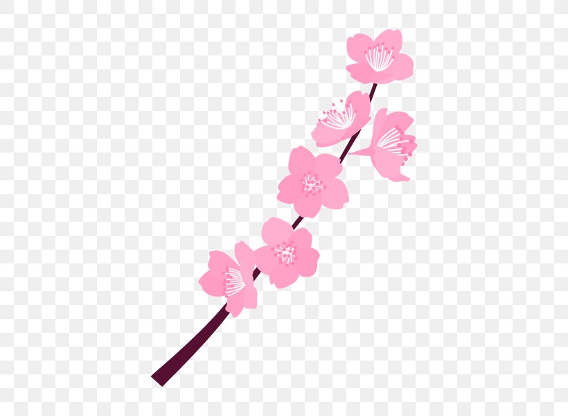 Floral Design Cut Flowers Cherry Blossom ST.AU.150 MIN.V.UNC.NR AD, PNG, 600x600px, Floral Design, Blossom, Branch, Cherries, Cherry Blossom Download Free