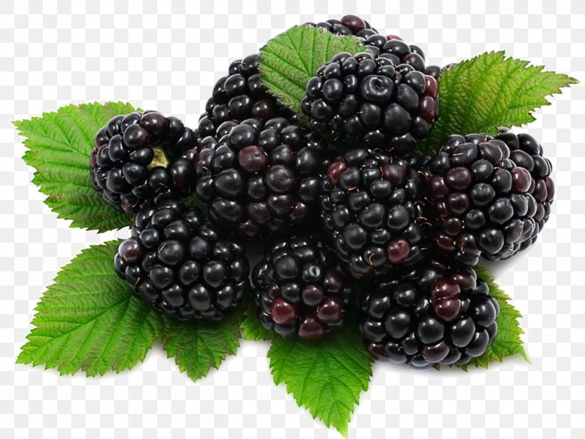 Fruit Mulberry Food Nutrition, PNG, 1200x900px, Fruit, Aggregate Fruit, Berry, Bilberry, Blackberry Download Free