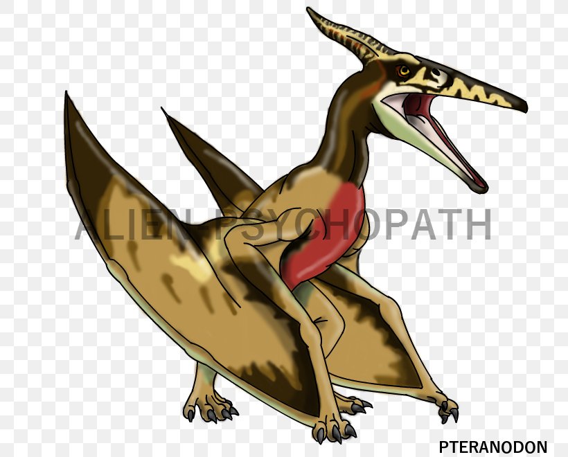 Gallimimus Velociraptor Pteranodon Jurassic Park Dinosaur, PNG, 774x660px, Gallimimus, Art, Beak, Bird, Cartoon Download Free