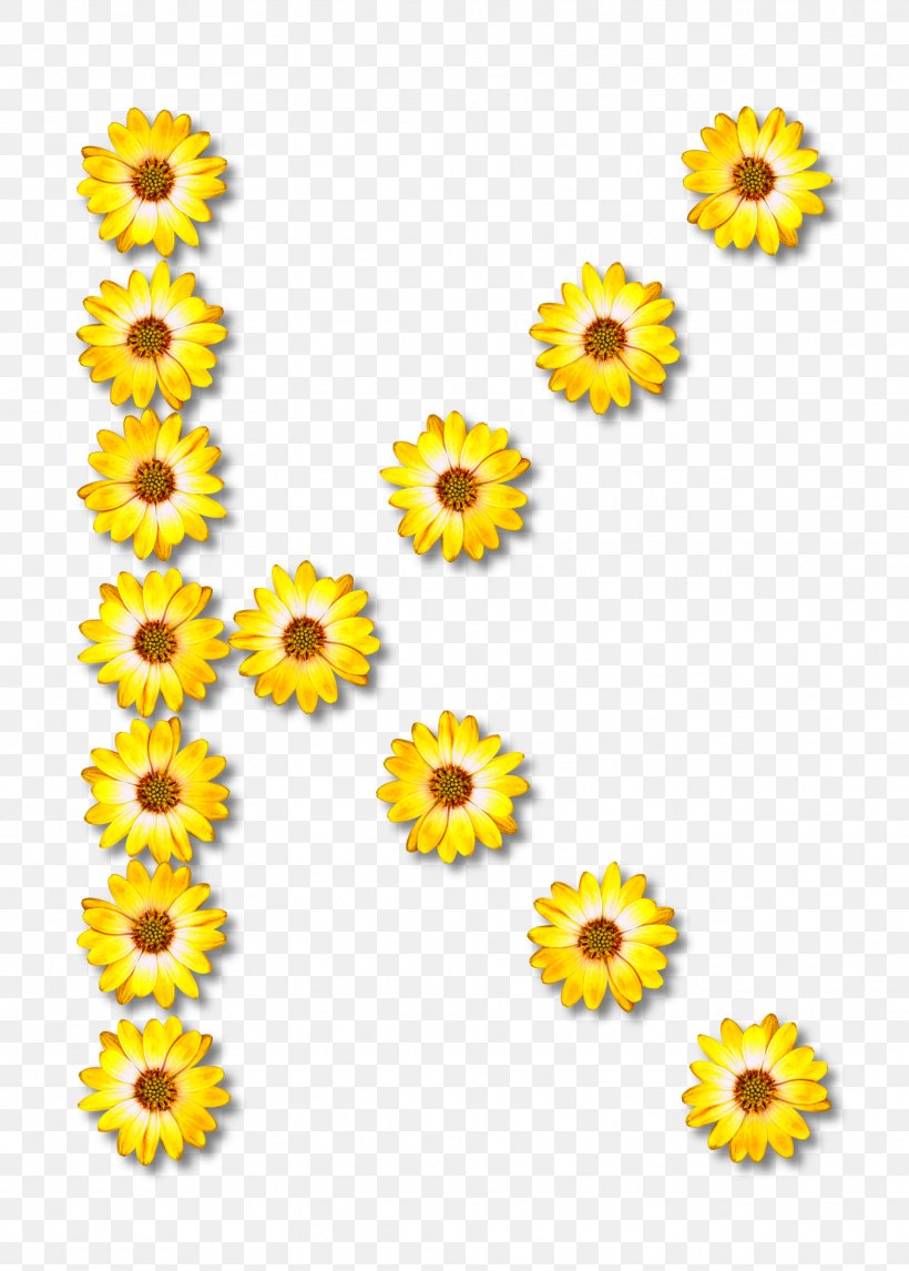 GitHub Flower Common Daisy Petal Clip Art, PNG, 1717x2400px, Github, Calendula, Chart, Chrysanthemum, Chrysanths Download Free