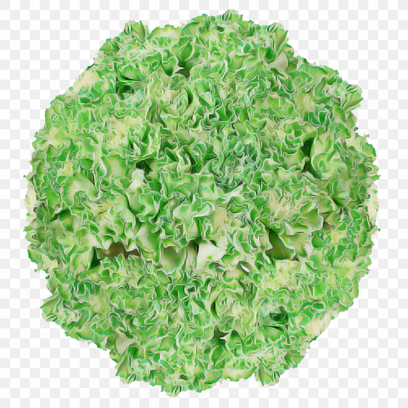 Salad, PNG, 1000x1000px, Leaf Vegetable, Chives, Garnish, Herb, Iceberg Lettuce Download Free