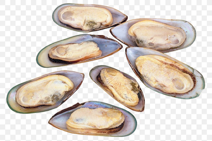 Vitamin B-12 Anemia Deficiency Cyanocobalamin, PNG, 800x544px, Vitamin B12, Anemia, Animal Source Foods, Clam, Clams Oysters Mussels And Scallops Download Free