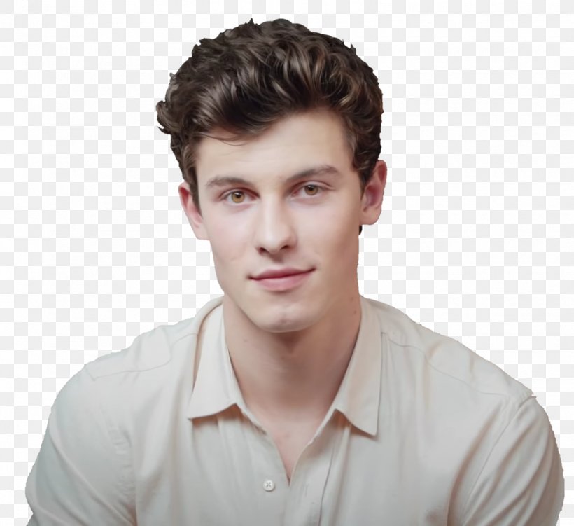 Japan Background, PNG, 1572x1440px, Shawn Mendes, Actor, Black Hair, Brown Hair, Chasing Cameron Download Free