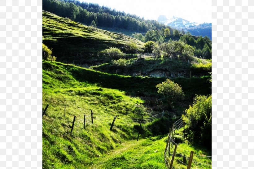 Biome Vegetation Mount Scenery Nature Reserve Plant Community, PNG, 900x600px, Biome, Blog, Community, Ecosystem, Escarpment Download Free