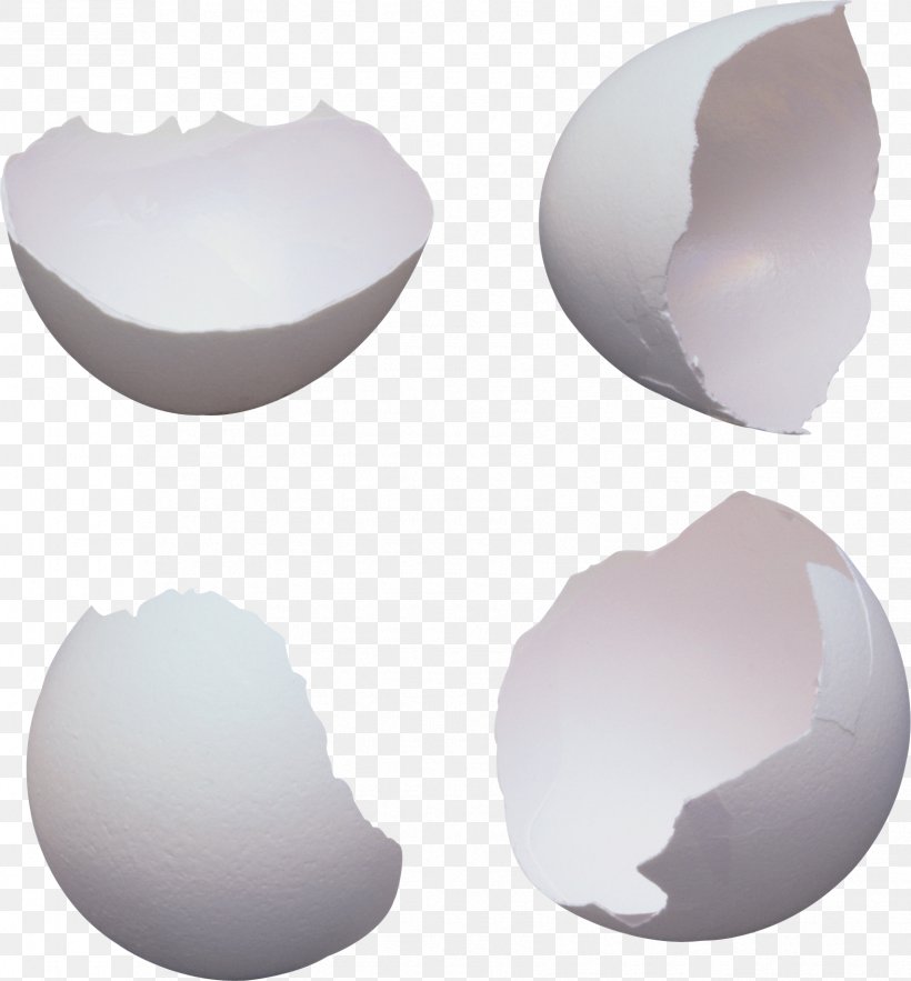 Breakfast Chicken Eggshell Egg Carton, PNG, 1705x1837px, Chicken, Chicken Egg, Easter Egg, Egg, Eggshell Download Free