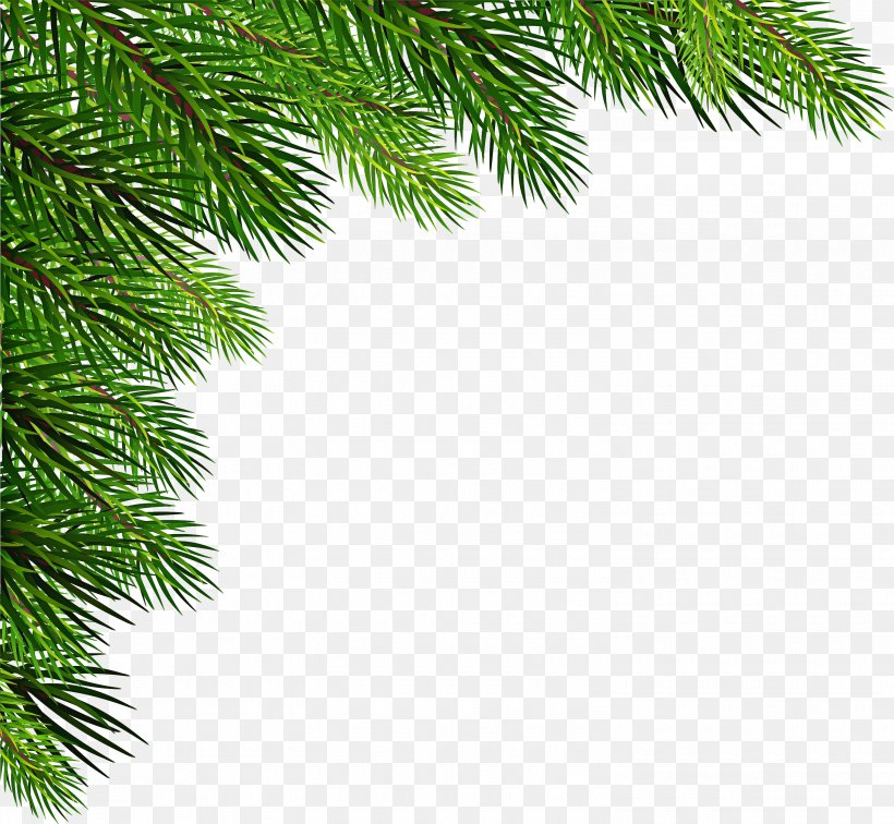Christmas Tree White, PNG, 3000x2768px, Christmas Day, American Larch, Arecales, Branch, Christmas Decoration Download Free