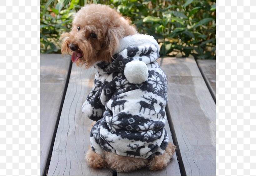 Cockapoo Hoodie Cat T-shirt Puppy, PNG, 628x563px, Cockapoo, Cat, Clothing, Clothing Accessories, Coat Download Free
