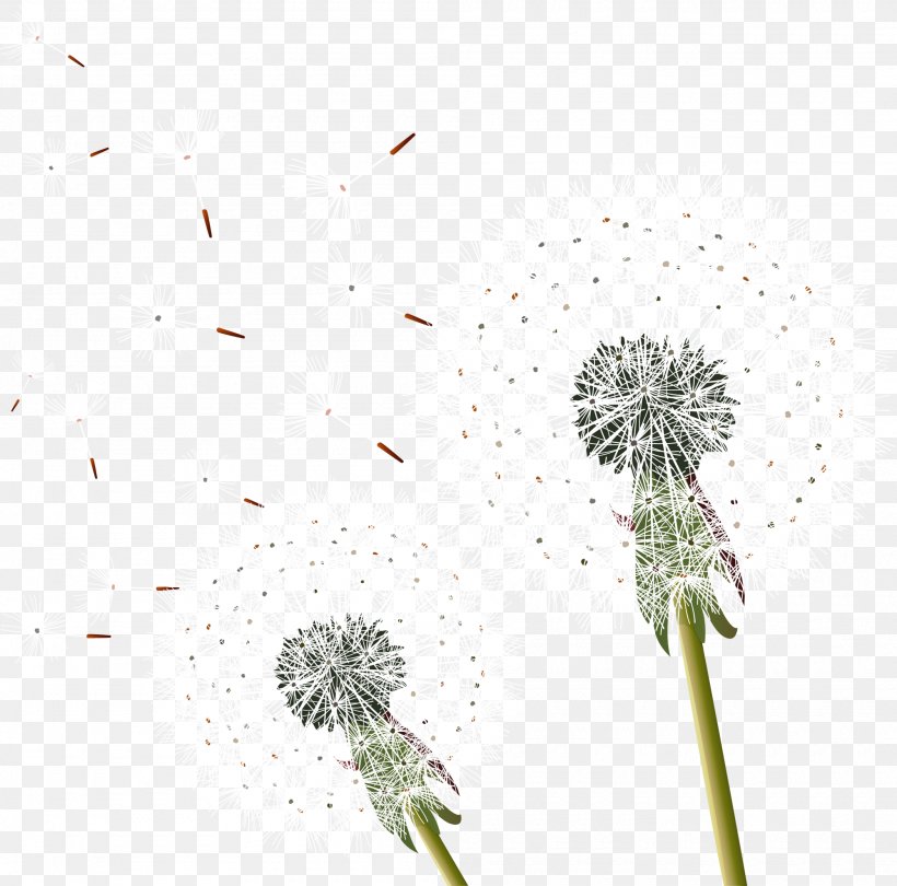 Common Dandelion, PNG, 2000x1976px, Common Dandelion, Dandelion, Flora, Floral Design, Flower Download Free