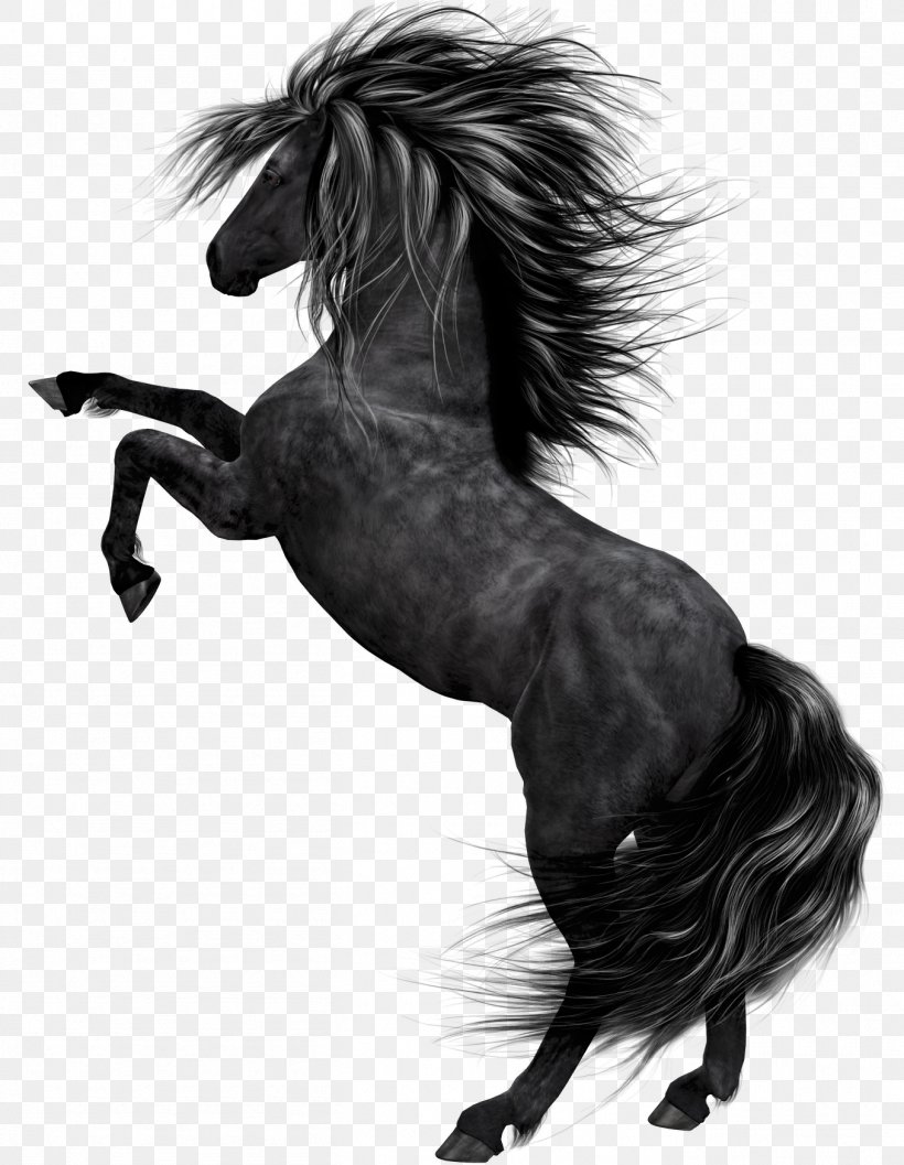 Horse Black Foal Clip Art, PNG, 1357x1750px, Horse, Black, Black And White, Bridle, Colt Download Free