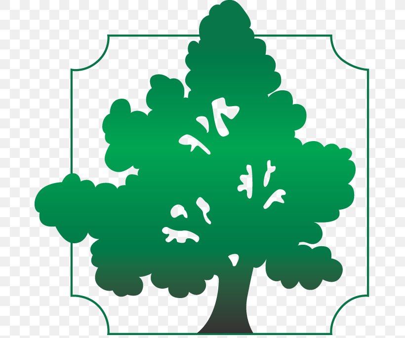 Baptists Southern Baptist Convention Tree .org Clip Art, PNG, 680x685px, Baptists, Flora, Flower, Flowering Plant, Grass Download Free