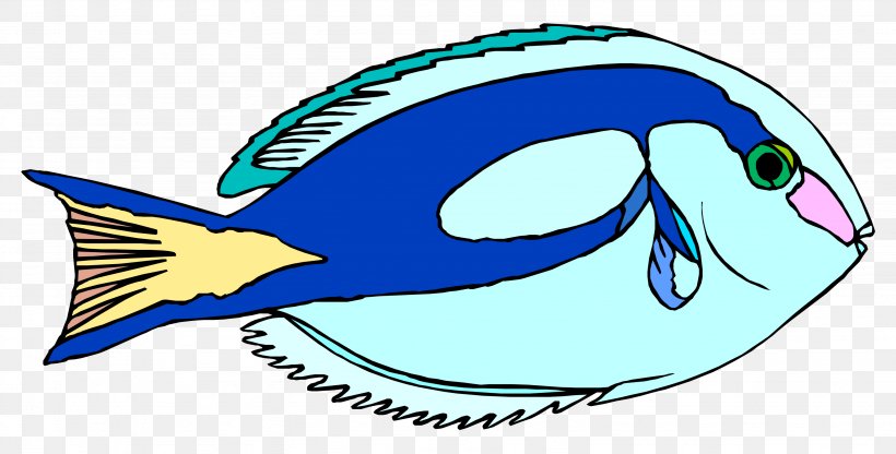 Blue Tang Ornamental Fish Drawing Clip Art, PNG, 3072x1559px, Blue Tang, Anglerfish, Aquatic Animal, Artwork, Child Download Free